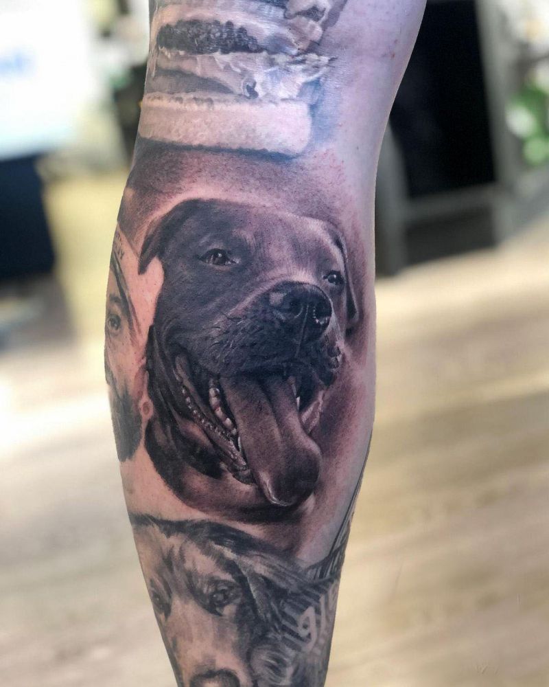 30 Cute Pitbull Tattoos You Must Try