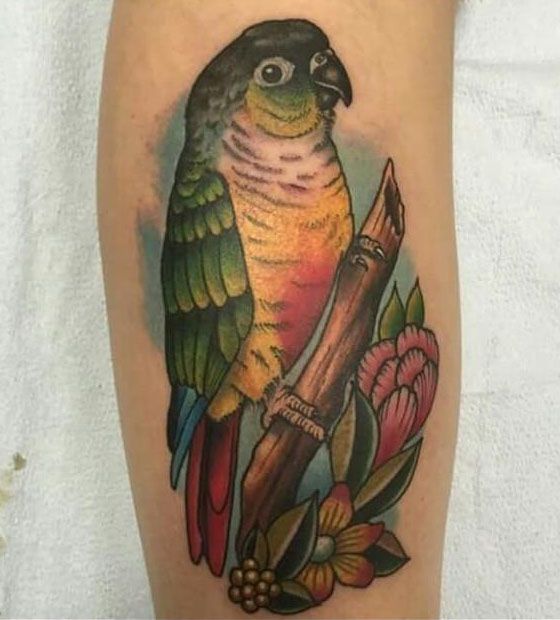 30 Pretty Conure Tattoos You Will Love