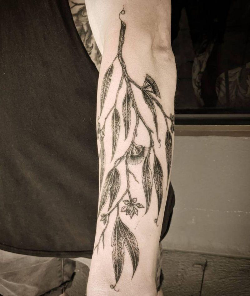 30 Pretty Gum Tree Tattoos You Will Love