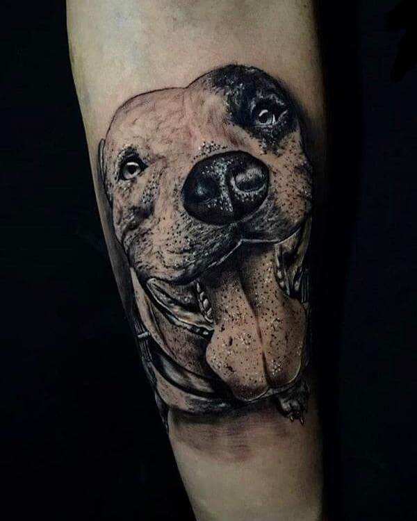 30 Cute Pitbull Tattoos You Must Try