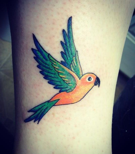 30 Pretty Conure Tattoos You Will Love