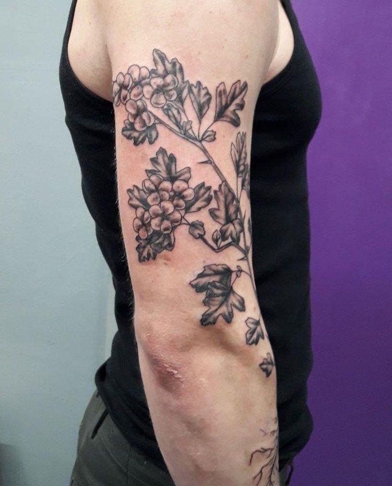 26 Pretty Hawthorn Tattoos You Can Copy