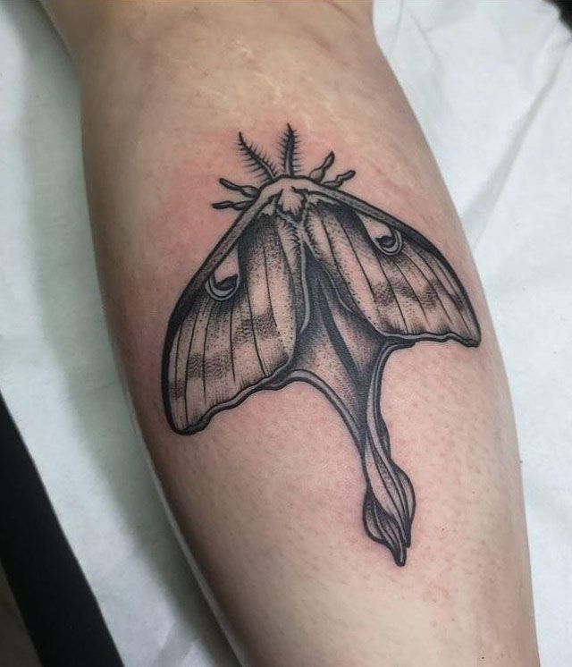 30 Pretty Luna Moth Tattoos to Inspire You