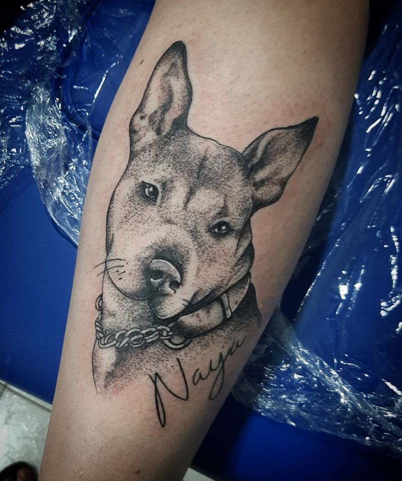 30 Cute Pitbull Tattoos You Must Try