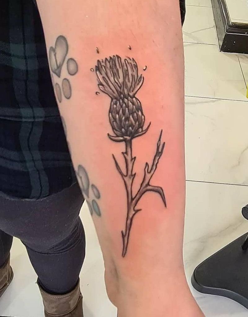 30 Pretty Thistle Tattoos Make You Attractive