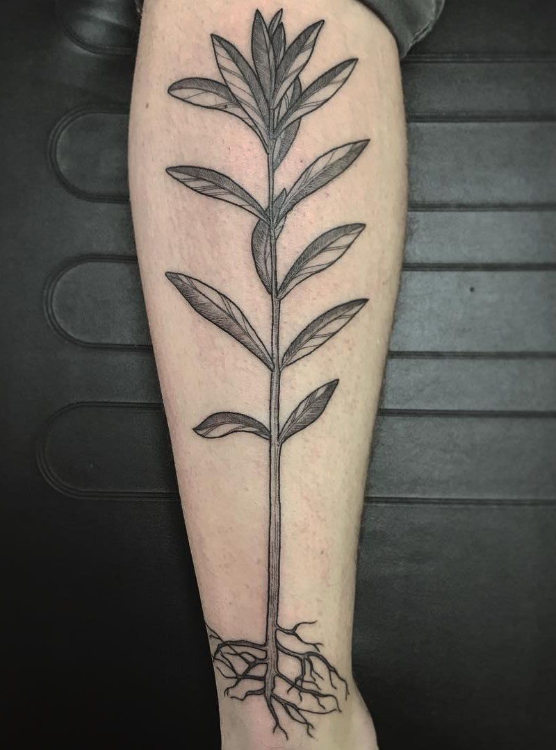 30 Pretty Oleander Tattoos Make You Attractive