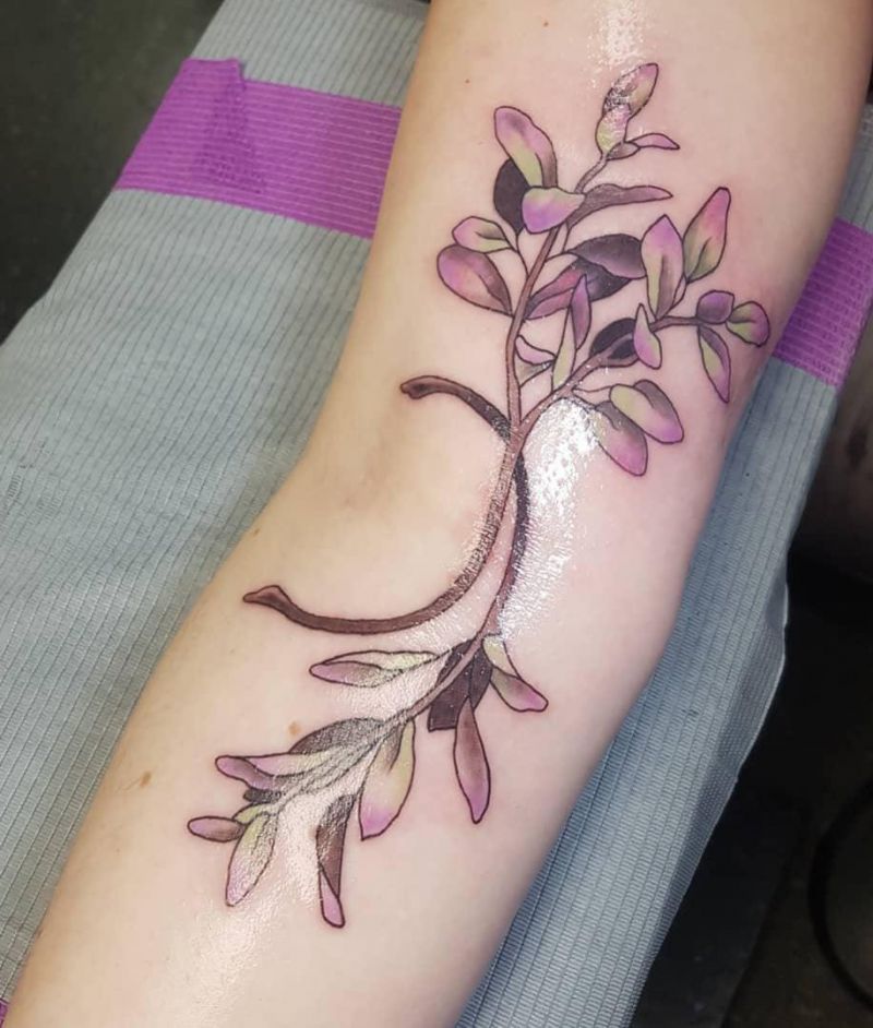 30 Pretty Sage Tattoos Make You Attractive