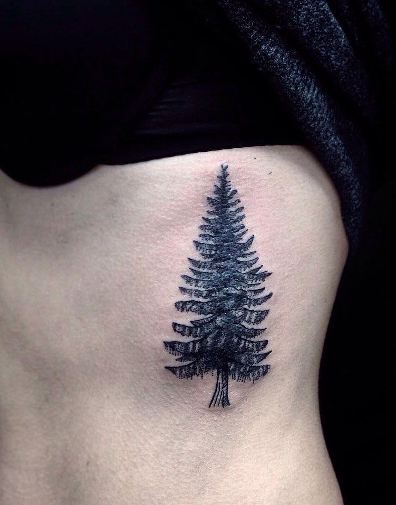 30 Pretty Spruce Tattoos You Can Copy