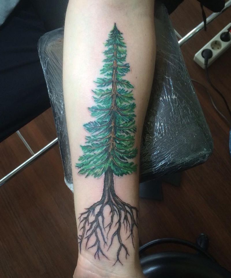 30 Pretty Spruce Tattoos You Can Copy