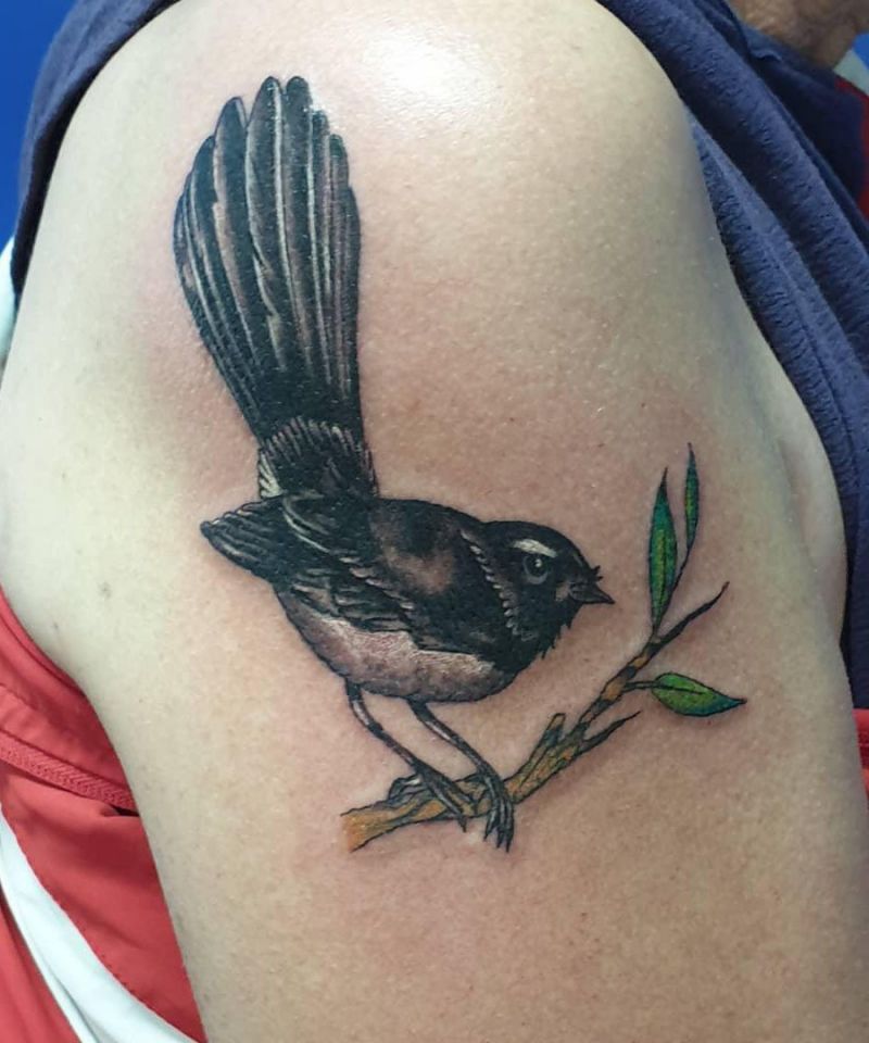 30 Pretty Willy Wagtail Tattoos You Must Love