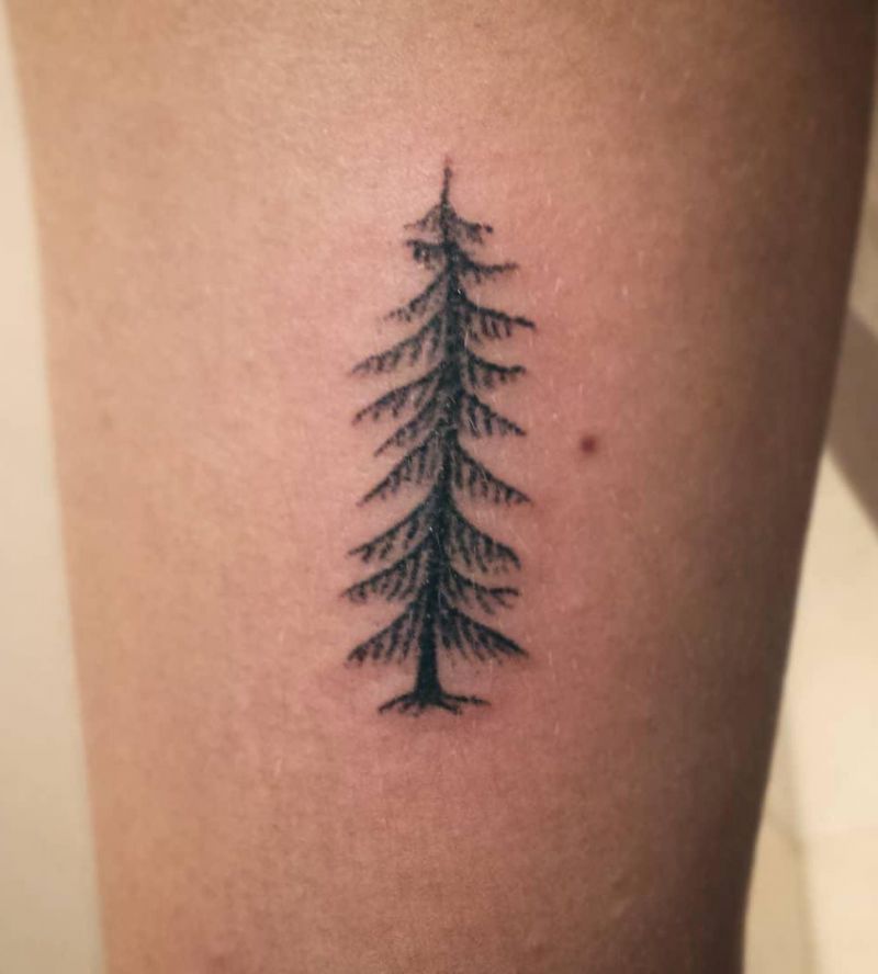 30 Pretty Spruce Tattoos You Can Copy