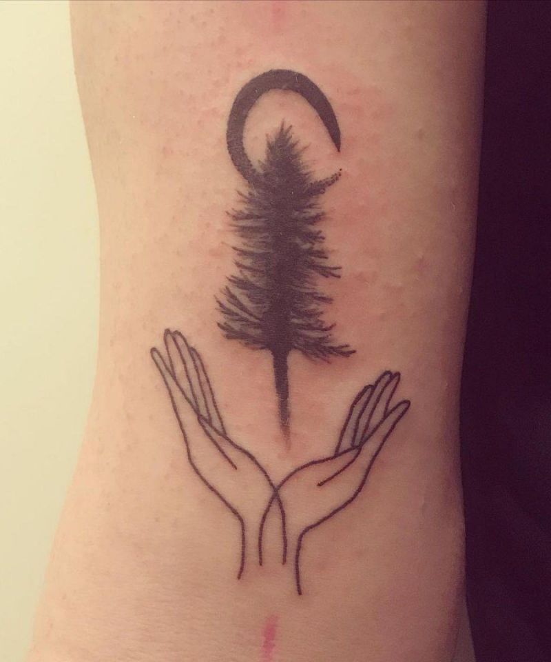 30 Pretty Spruce Tattoos You Can Copy