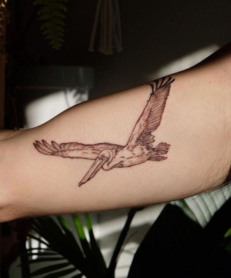 30 Pretty Pelican Tattoos You Can’t Miss