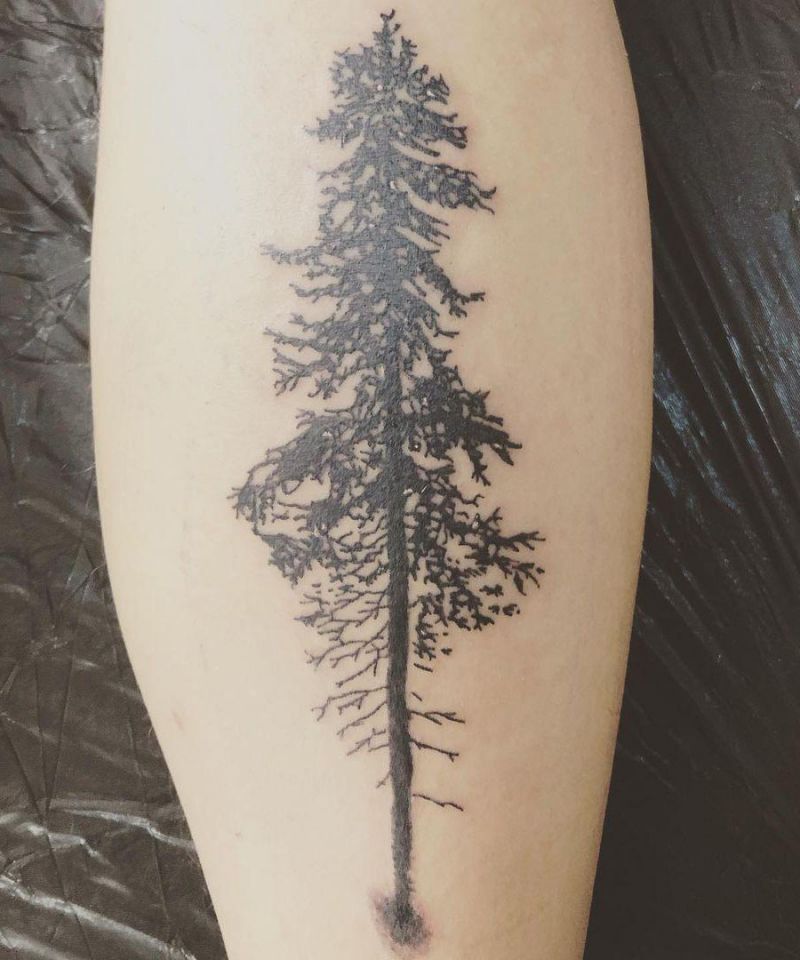 30 Pretty Spruce Tattoos You Can Copy