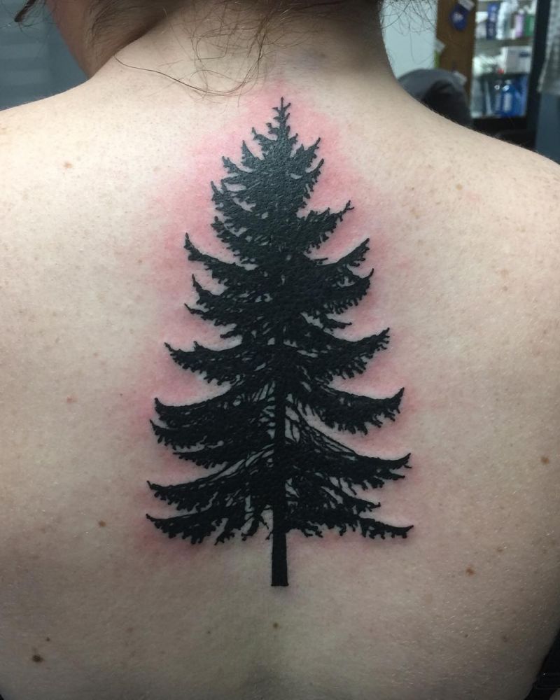 30 Pretty Spruce Tattoos You Can Copy