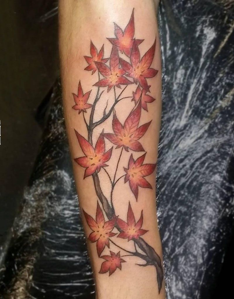 30 Gorgeous Maple Tree Tattoos to Inspire You