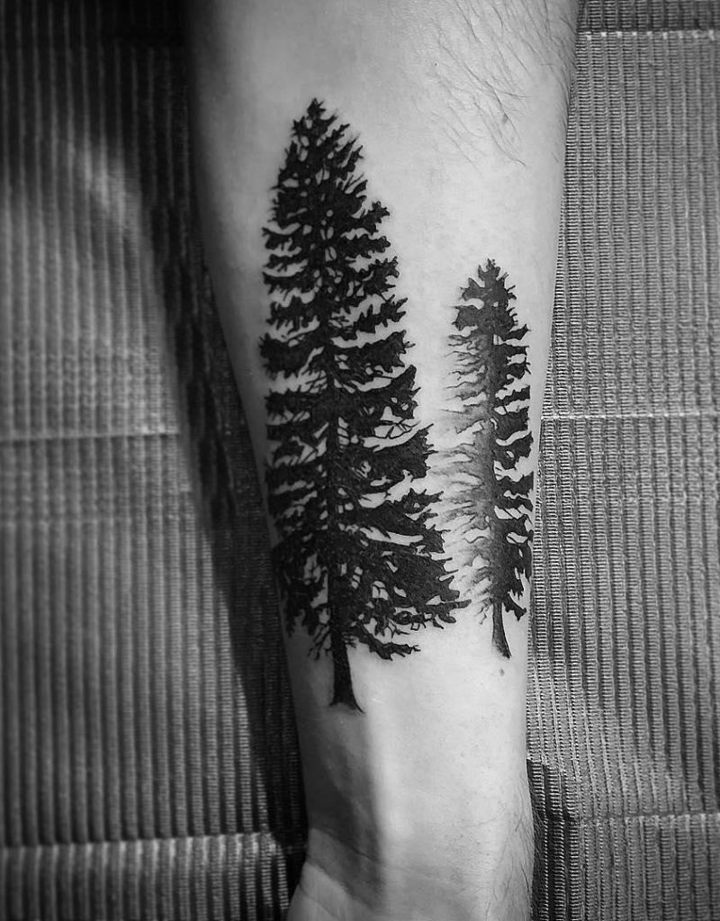 30 Pretty Spruce Tattoos You Can Copy