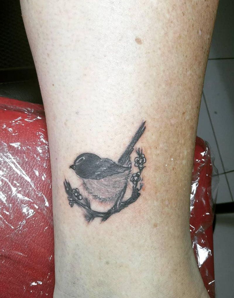 30 Pretty Willy Wagtail Tattoos You Must Love