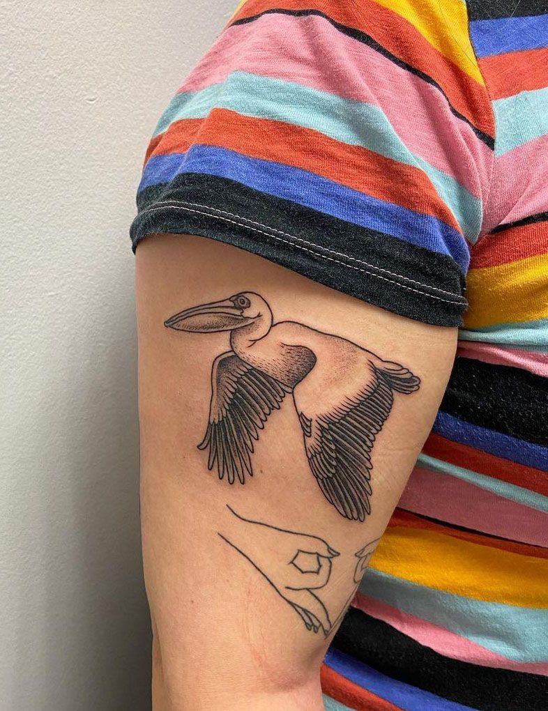 30 Pretty Pelican Tattoos You Can’t Miss