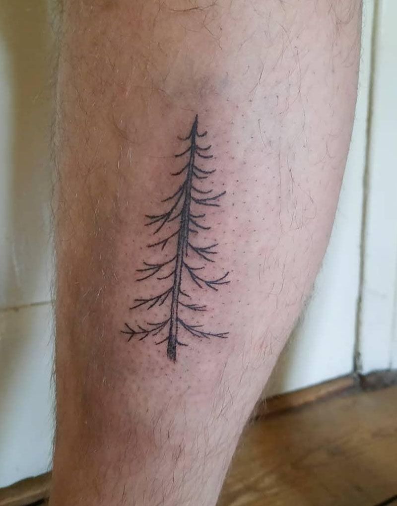 30 Pretty Spruce Tattoos You Can Copy