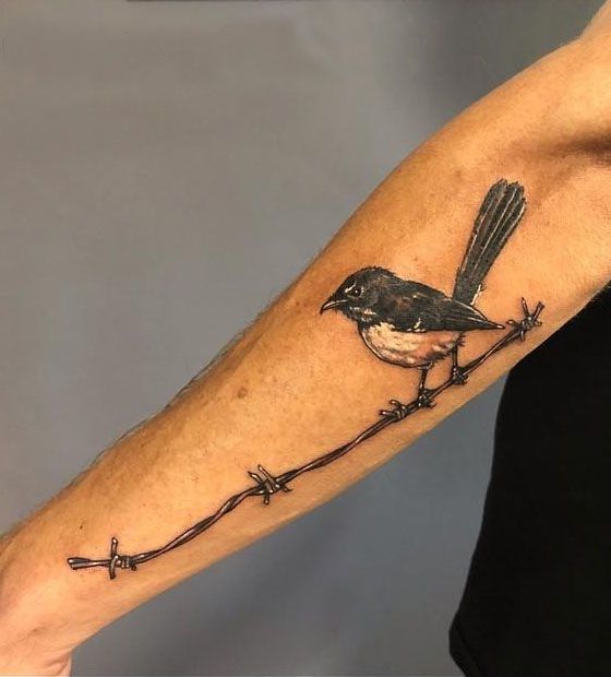 30 Pretty Willy Wagtail Tattoos You Must Love