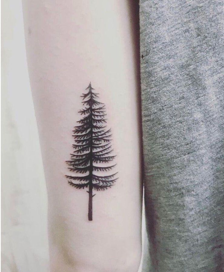 30 Pretty Spruce Tattoos You Can Copy