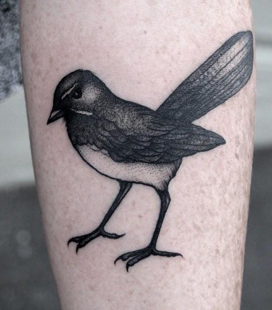 30 Pretty Willy Wagtail Tattoos You Must Love