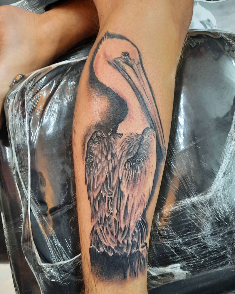 30 Pretty Pelican Tattoos You Can’t Miss