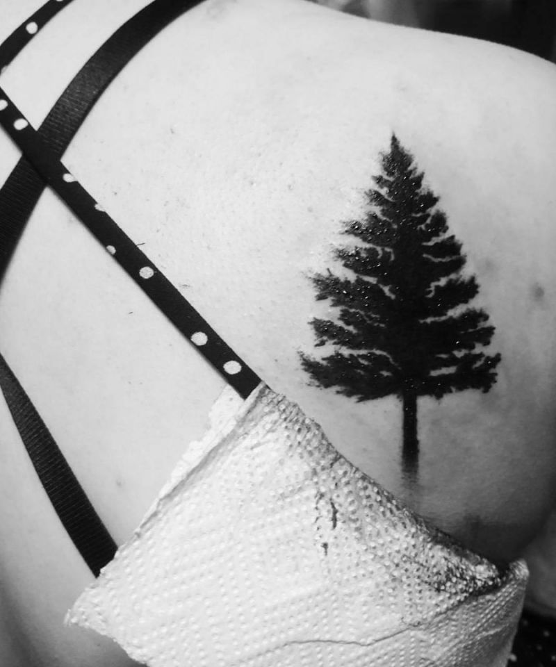 30 Pretty Spruce Tattoos You Can Copy