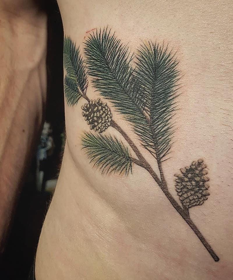 30 Pretty Spruce Tattoos You Can Copy