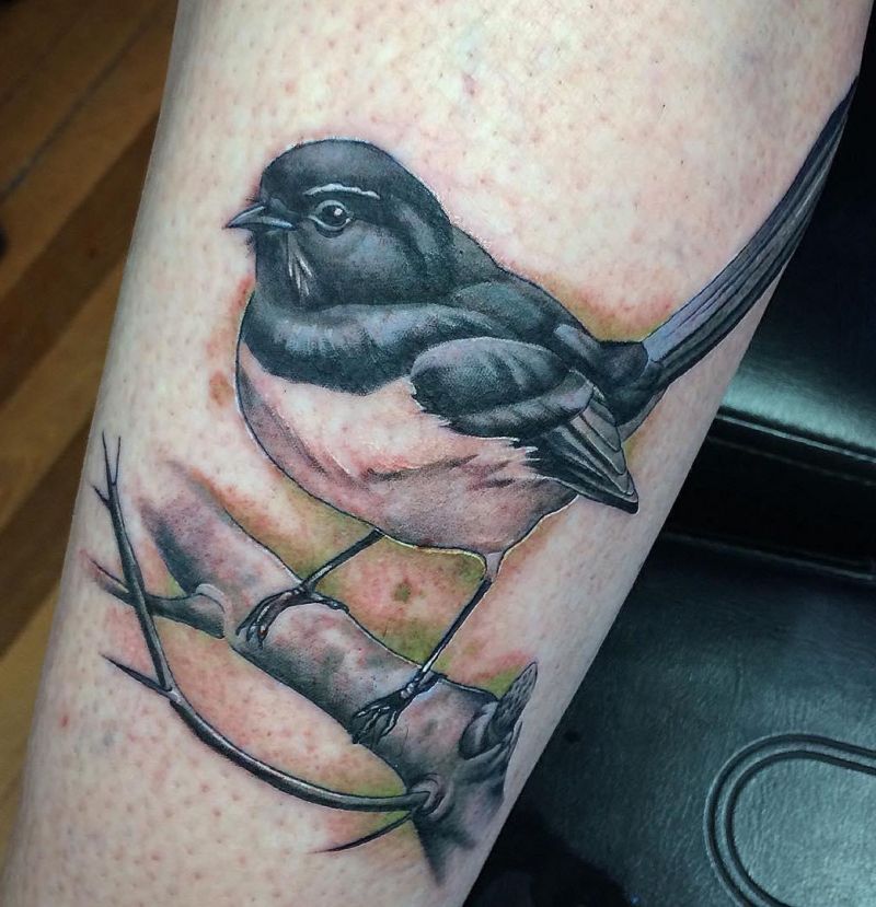 30 Pretty Willy Wagtail Tattoos You Must Love