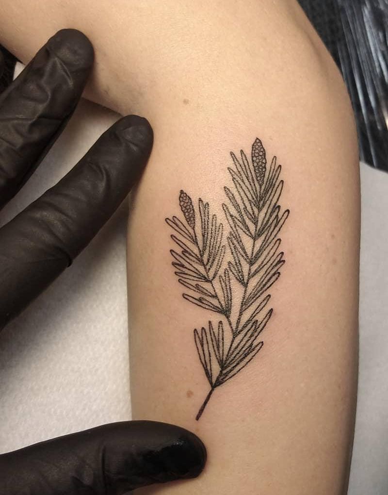 30 Pretty Spruce Tattoos You Can Copy