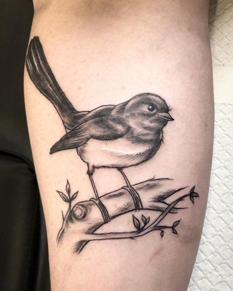 30 Pretty Willy Wagtail Tattoos You Must Love