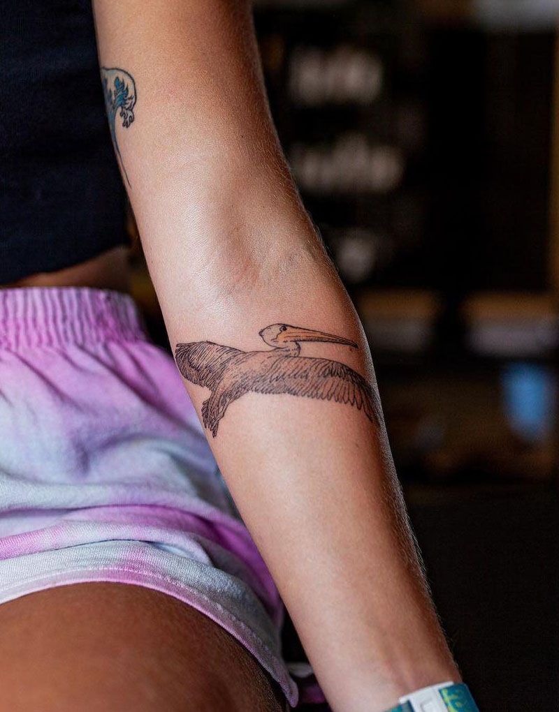 30 Pretty Pelican Tattoos You Can’t Miss