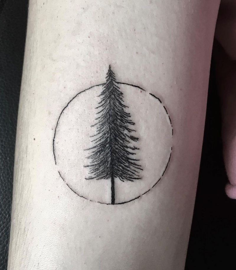 30 Pretty Spruce Tattoos You Can Copy