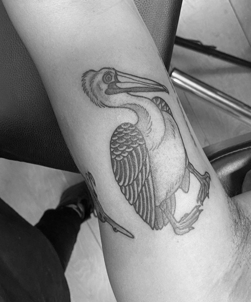 30 Pretty Pelican Tattoos You Can’t Miss