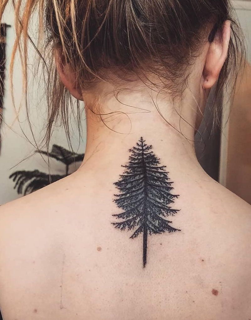 30 Pretty Spruce Tattoos You Can Copy