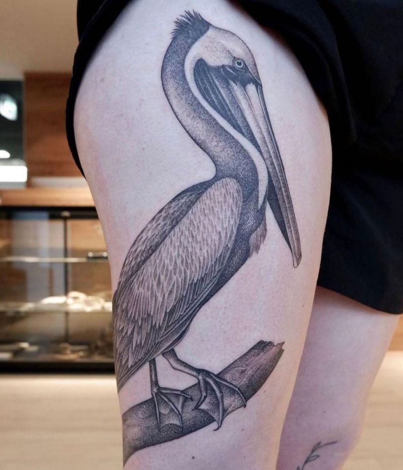 30 Pretty Pelican Tattoos You Can’t Miss