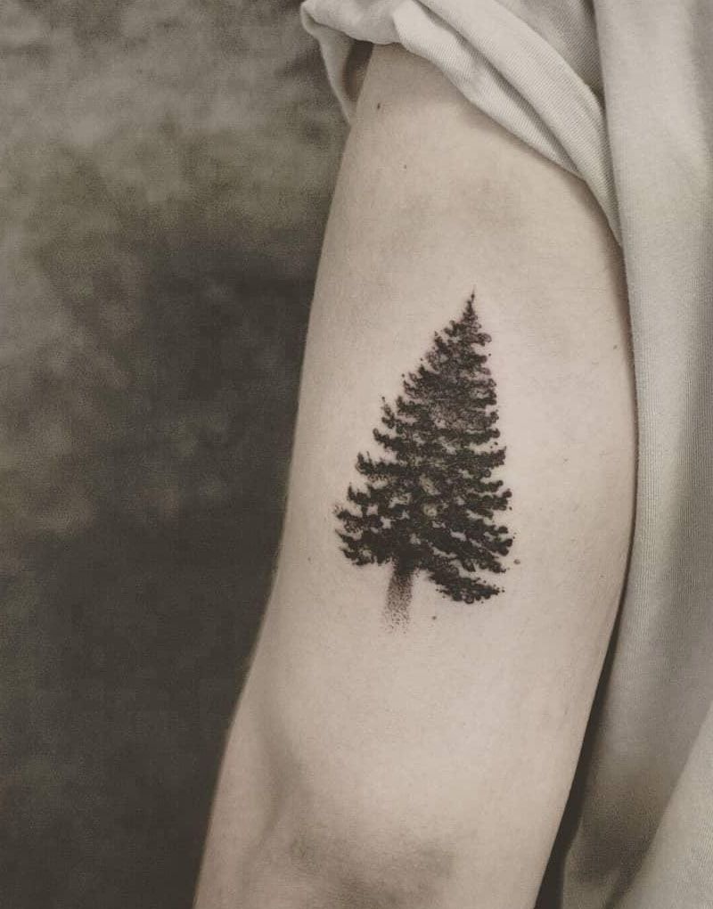 30 Pretty Spruce Tattoos You Can Copy