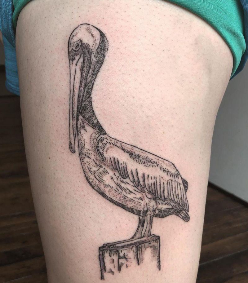 30 Pretty Pelican Tattoos You Can’t Miss