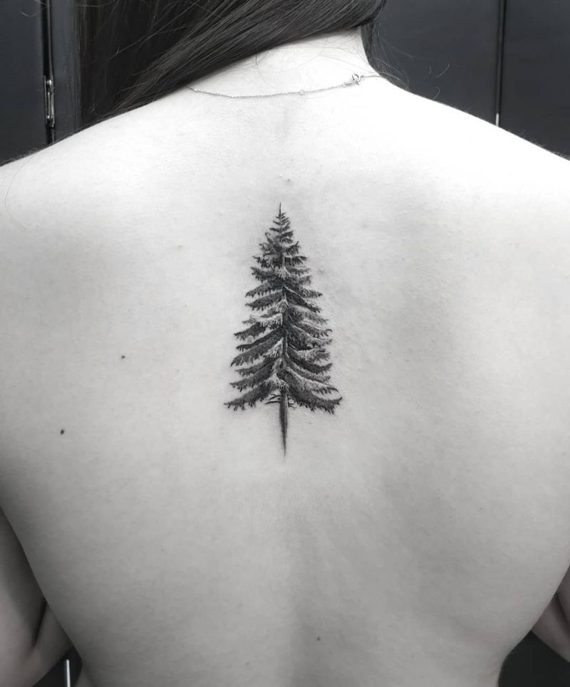 30 Pretty Spruce Tattoos You Can Copy