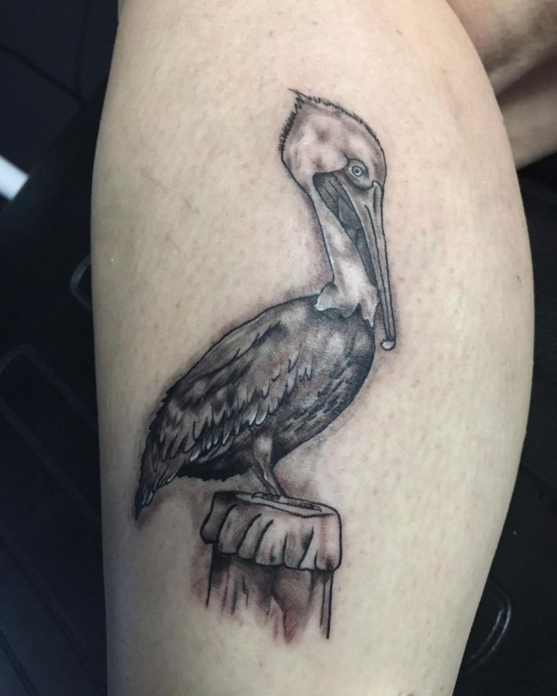 30 Pretty Pelican Tattoos You Can’t Miss