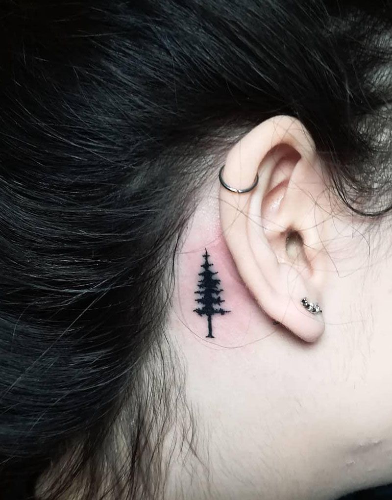 30 Pretty Spruce Tattoos You Can Copy