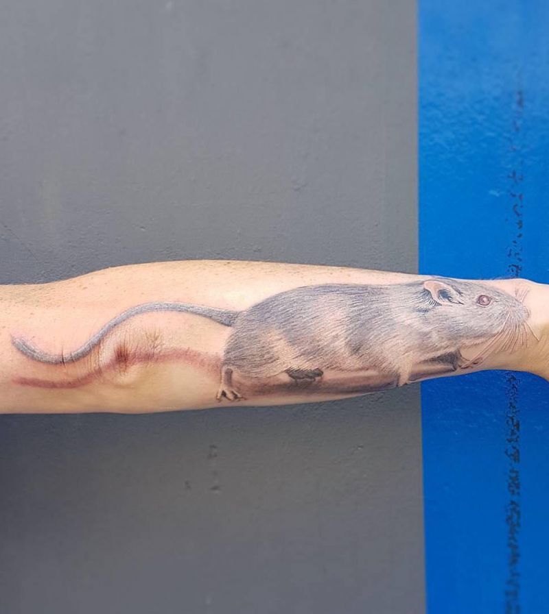 24 Gorgeous Gerbil Tattoos You Will Love