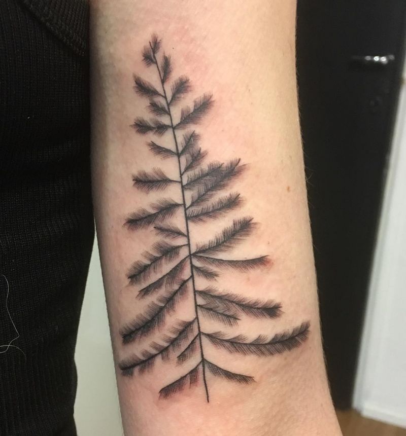 30 Pretty Spruce Tattoos You Can Copy