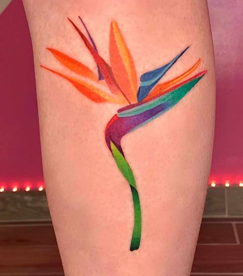 30 Pretty Bird of Paradise Tattoos You Must See