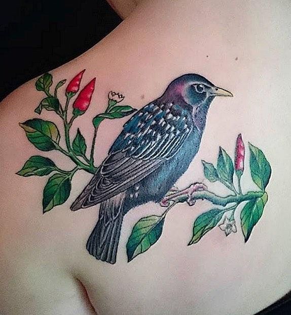 30 Pretty Starling Tattoos You Must Love