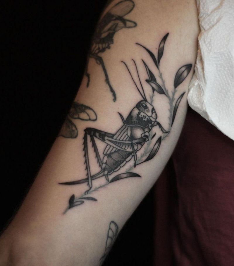 30 Gorgeous Cricket Tattoos You Must See