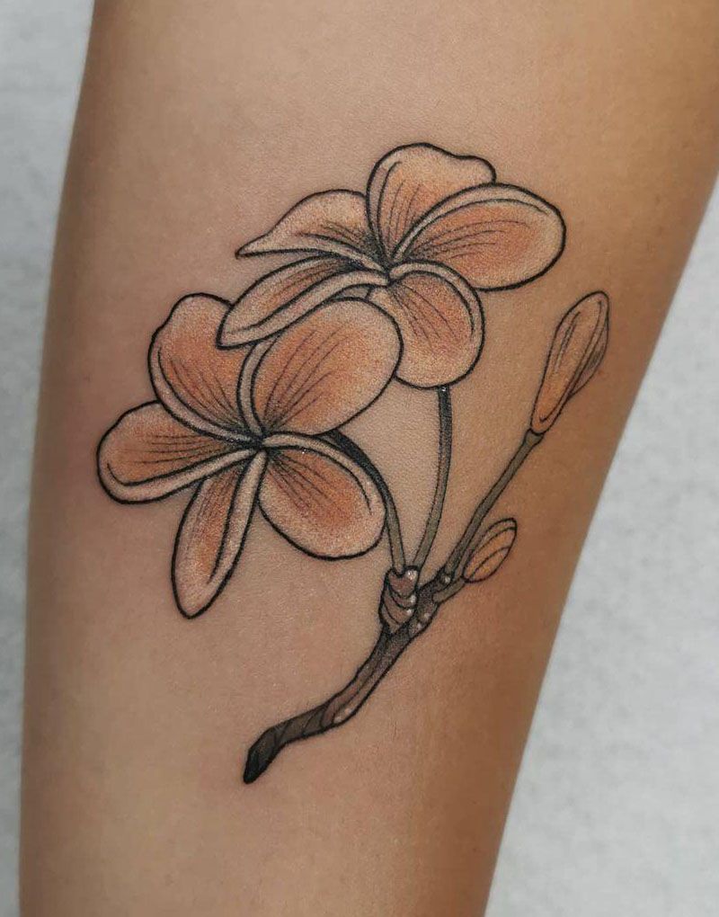 30 Amazing Plumeria Tattoos You Will Love