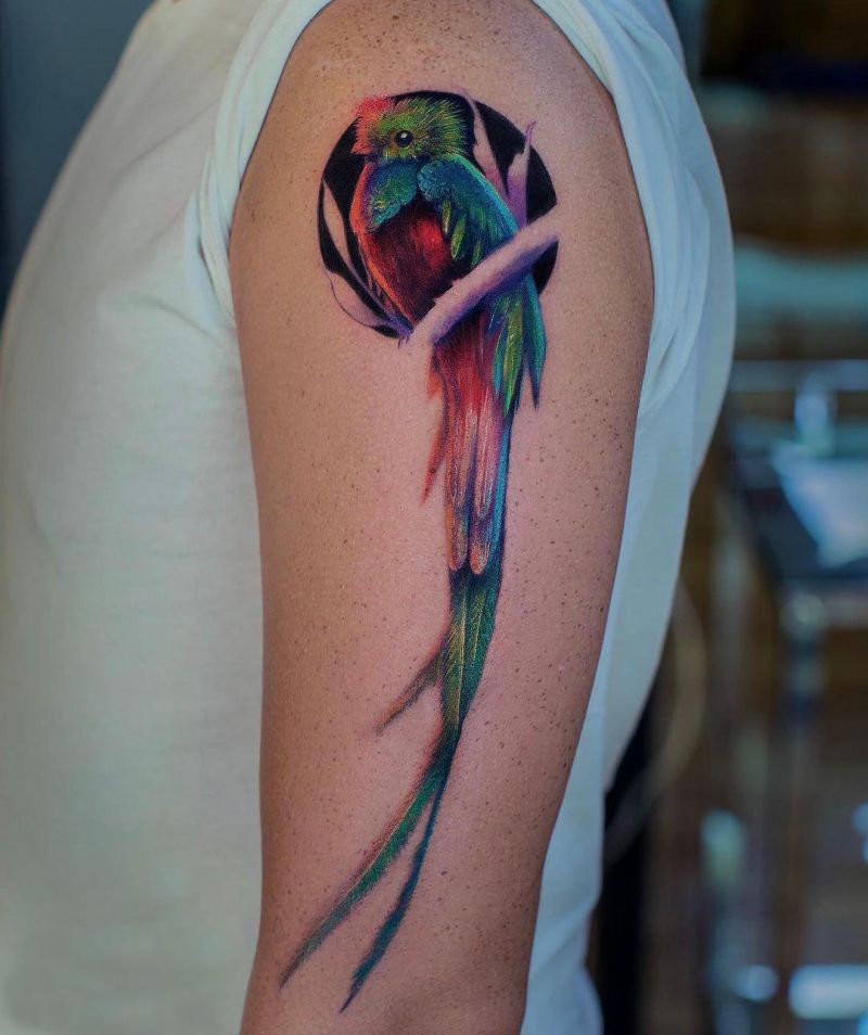 30 Pretty Quetzal Tattoos You Will Love